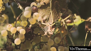 Wondrous gal tempted a gal from the surroundings and made love with her all day long