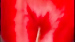 CRIMSON HEAD THOT DEEPTHROATS BONER AND PLEADS FOR NADS