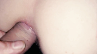 Underground doggies on fashion