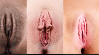 An extraordinaire collections of cootchie- photos in one place, for everyone who luvs to witness the varieties