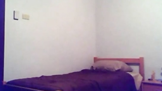 Real Cougar Drilled by Neighbor