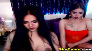 Hot Asian Couple Shemale Ass Fucking