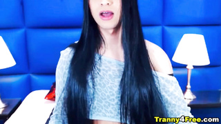 Wanna Suck My dick? Shemale