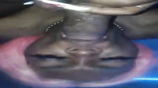 Ebony school nymph is oftentimes deep-throating boners instead of probing for examinations, because cocks are sugary-sweet