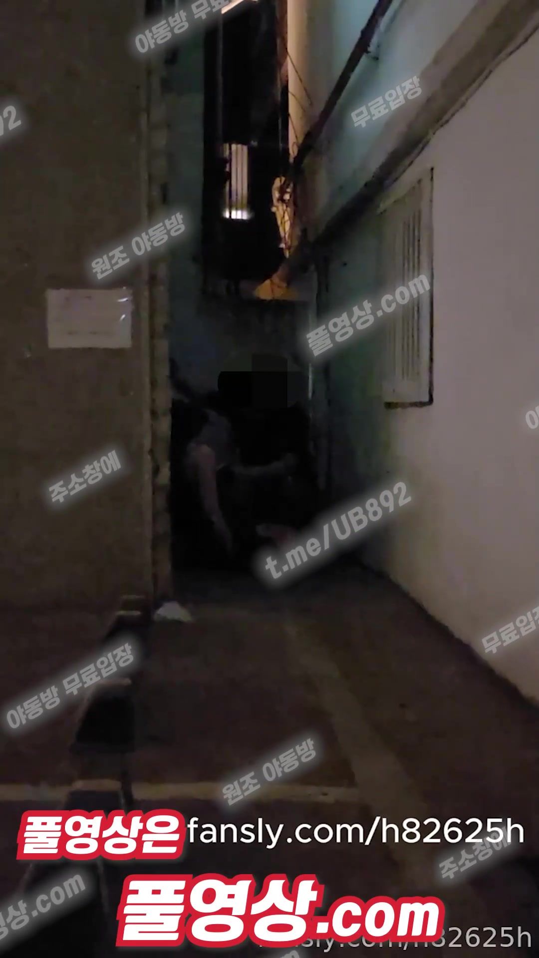 3894 진성 네토 페트리온 길거리 만취녀 텔레 UB892