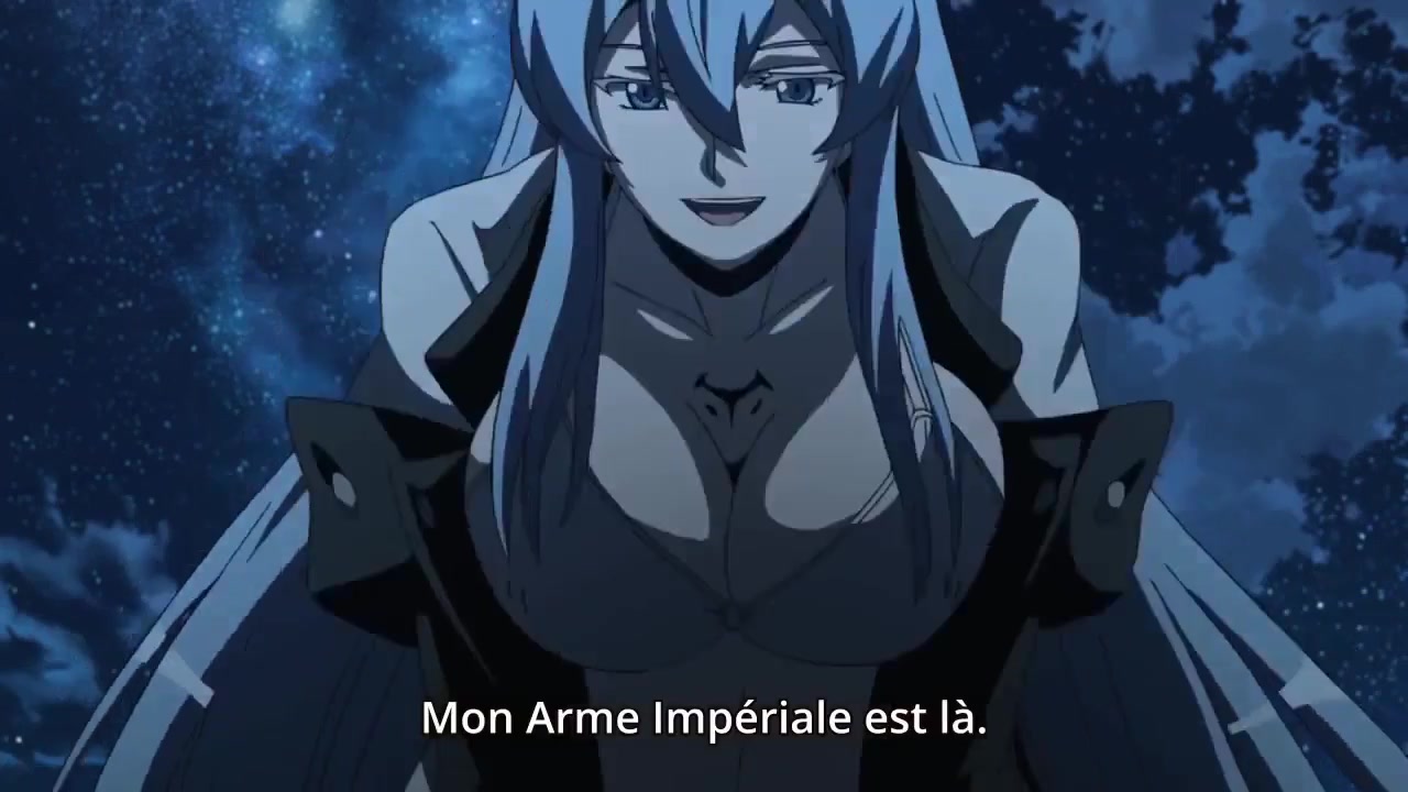 Akame Ga Kill anime porn only the supreme parts